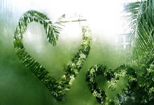 包含F1乒乓球排球台球羽毛球网球的词条