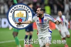 包含夺冠热门出局！世俱杯-曼城加时3-4遭新月绝杀止步16强的词条